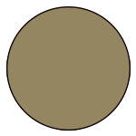 noga-zloty-min.png